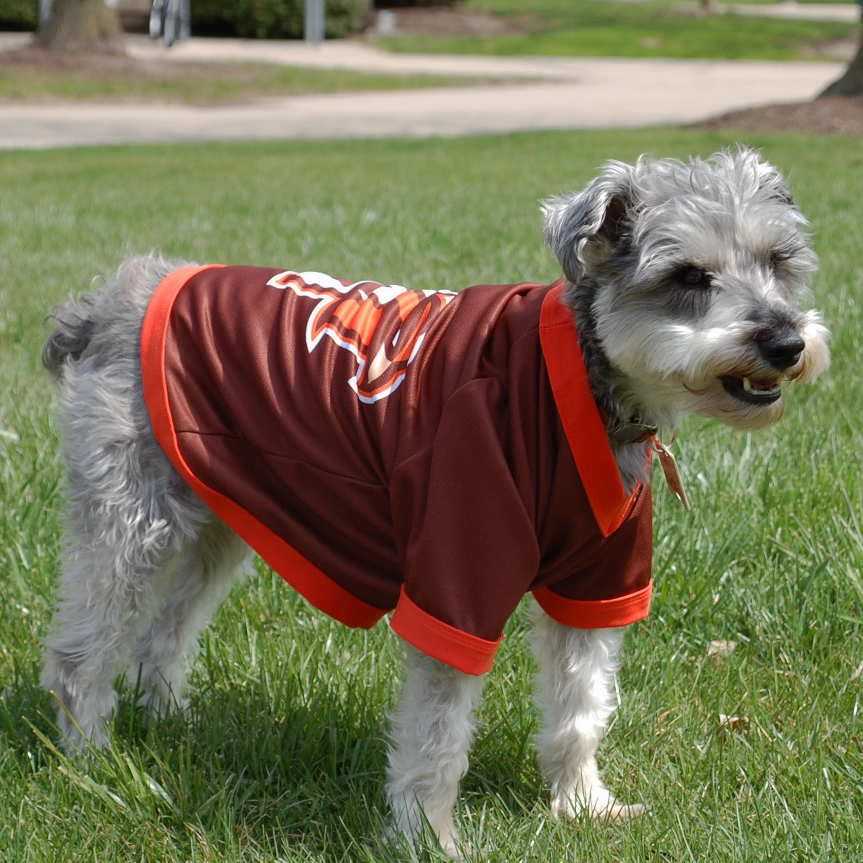 All Star Dog Peekaboo Mesh BROWN Jersey