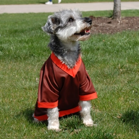 All Star Dog Peekaboo Mesh BROWN Jersey