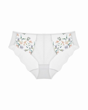 Aurelia Brief