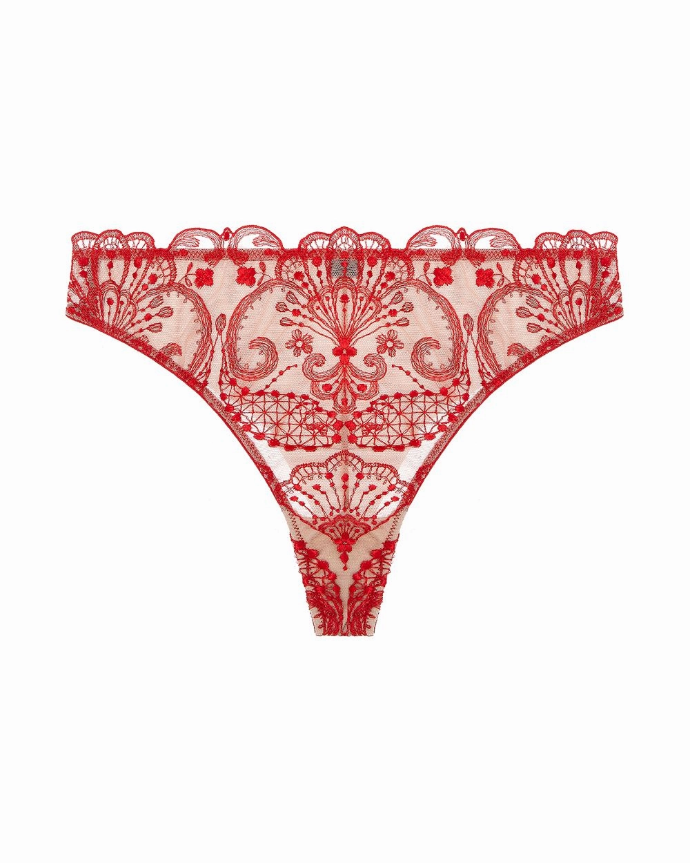 Spotlight Embroidered Thong