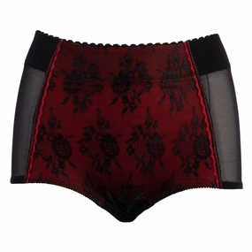 Style 4238 | Sheer Panty Brief