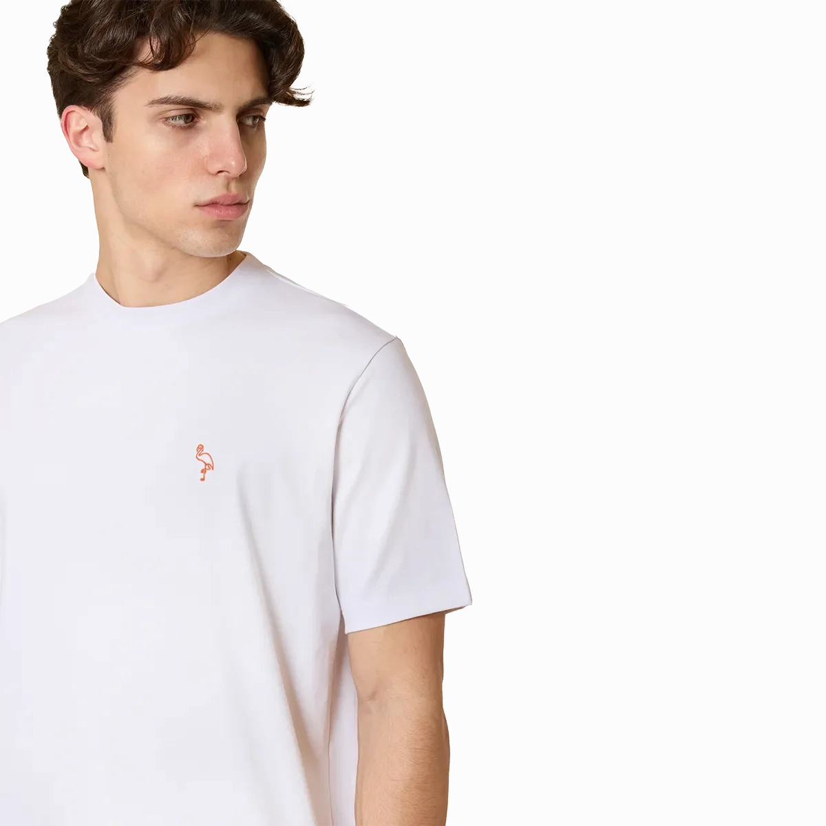 The FLAMINGO T-SHIRT